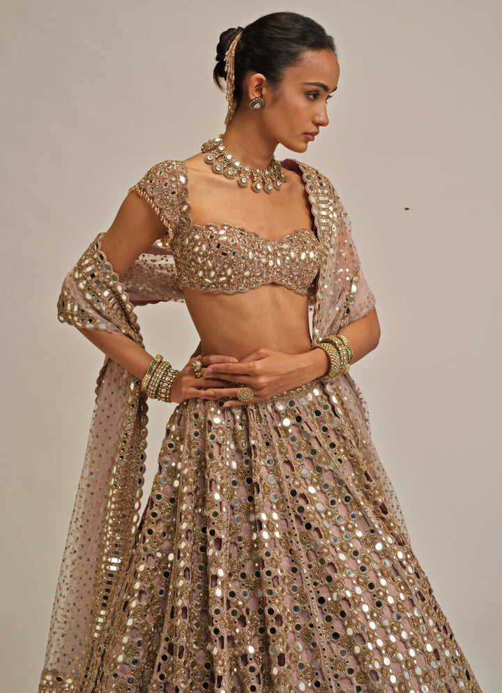 Ash Pink Cutwork Georgette Lehenga