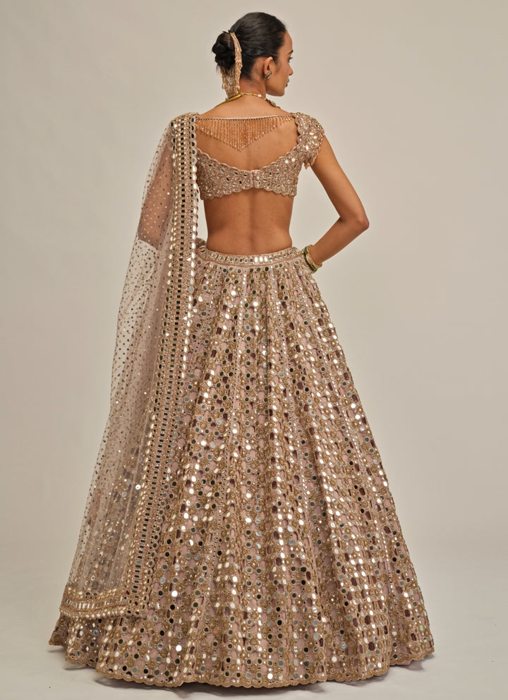 Ash Pink Cutwork Georgette Lehenga