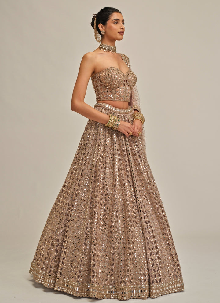 Ash Pink Georgette Corset Lehenga