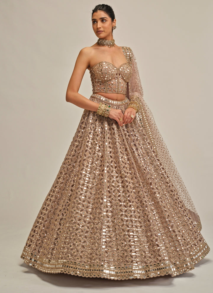 Ash Pink Georgette Corset Lehenga