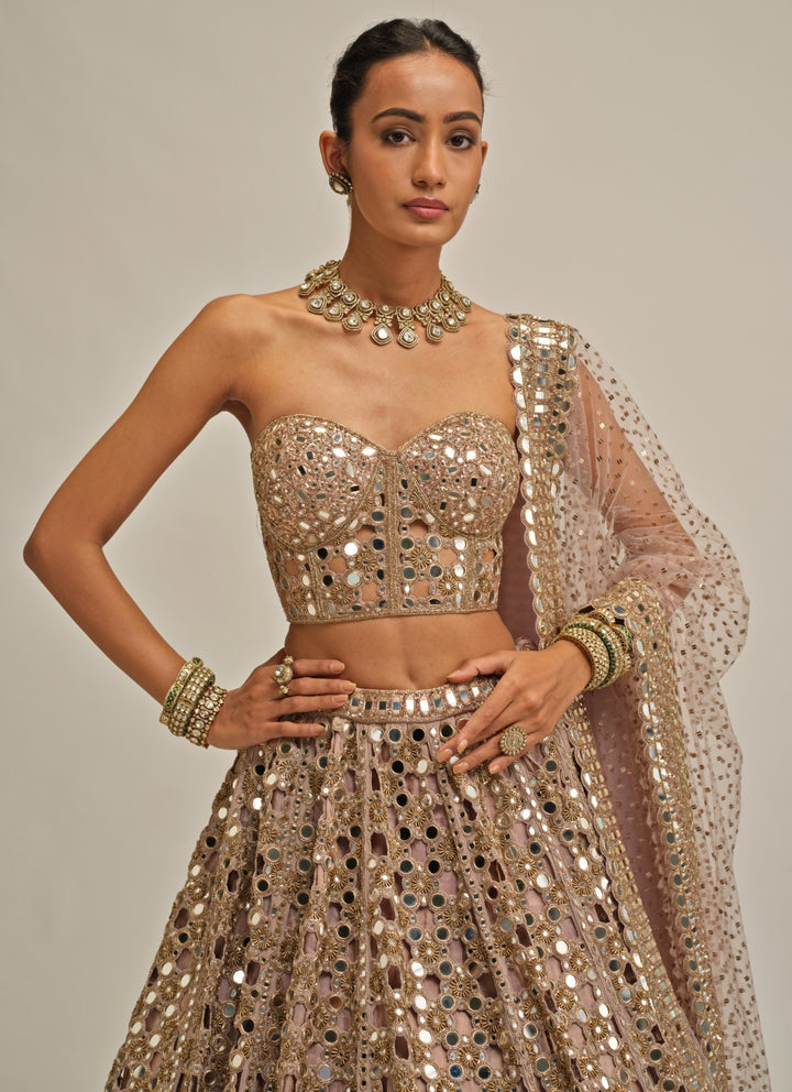 Ash Pink Mirror Embroidered Georgette Corset Lehenga