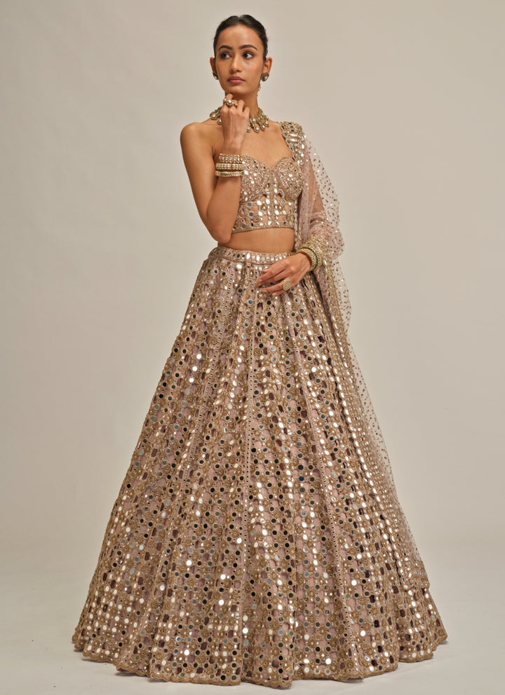 Ash Pink Mirror Embroidered Georgette Corset Lehenga
