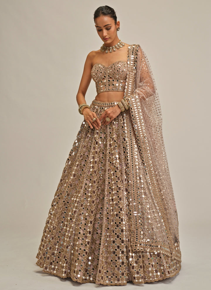 Ash Pink Mirror Embroidered Georgette Corset Lehenga