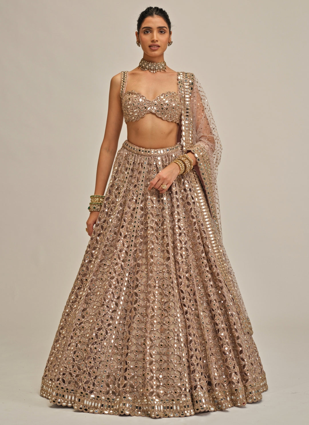 Ash Pink Sequins Georgette Lehenga