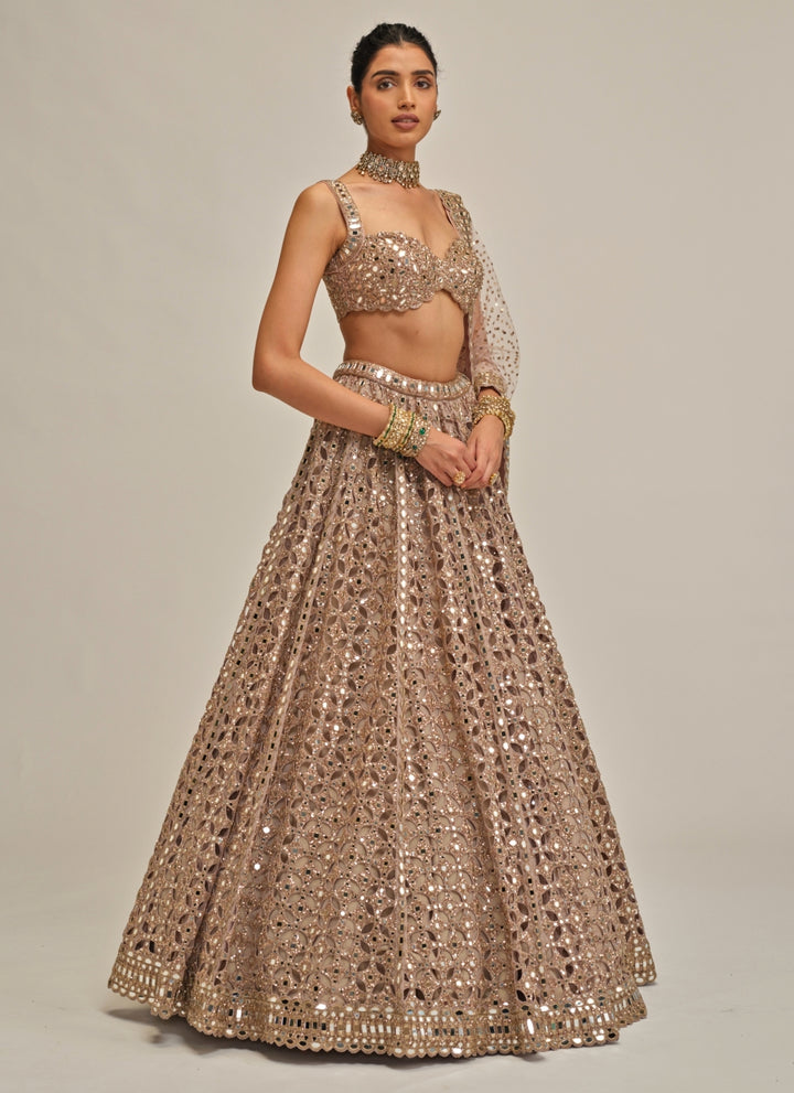 Ash Pink Sequins Georgette Lehenga