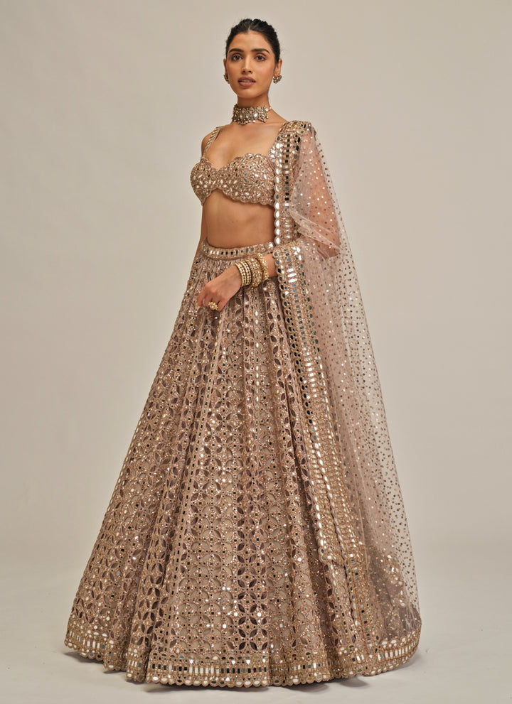 Ash Pink Sequins Georgette Lehenga