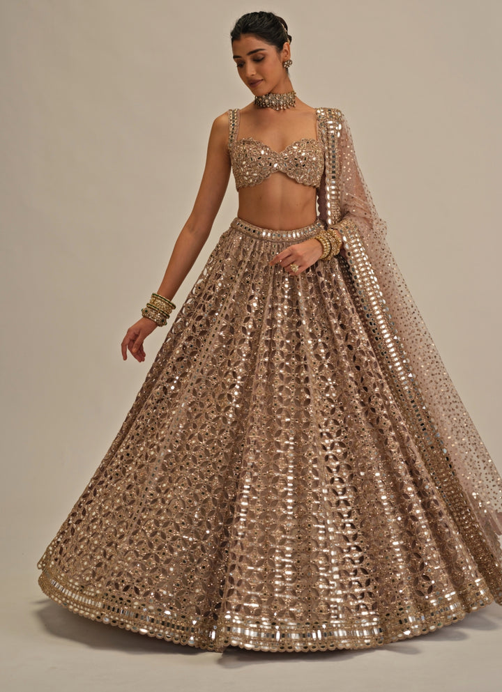 Ash Pink Sequins Georgette Lehenga
