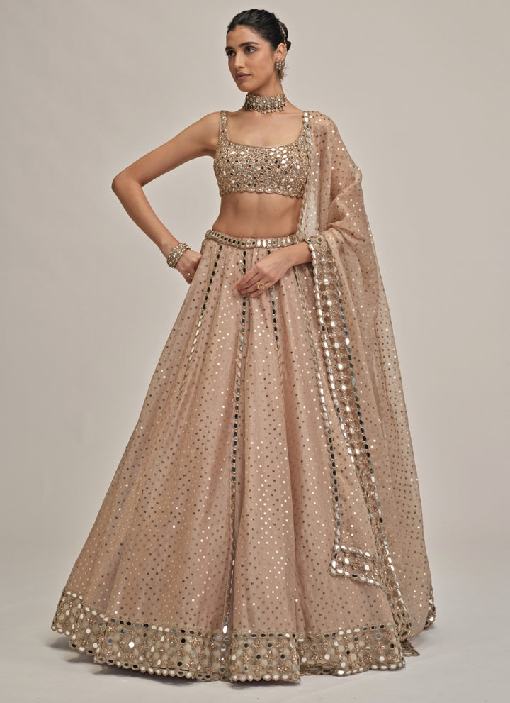 Beige Gold Sequins Embroidered Organza Lehenga