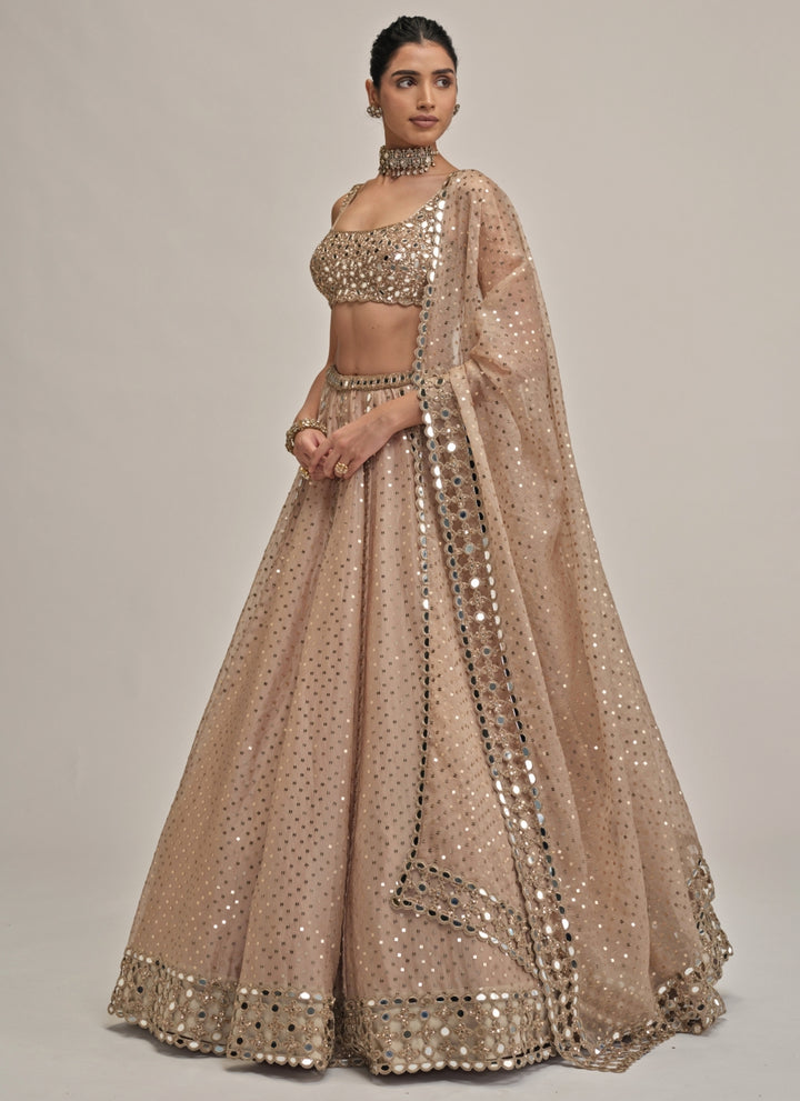 Beige Gold Sequins Embroidered Organza Lehenga