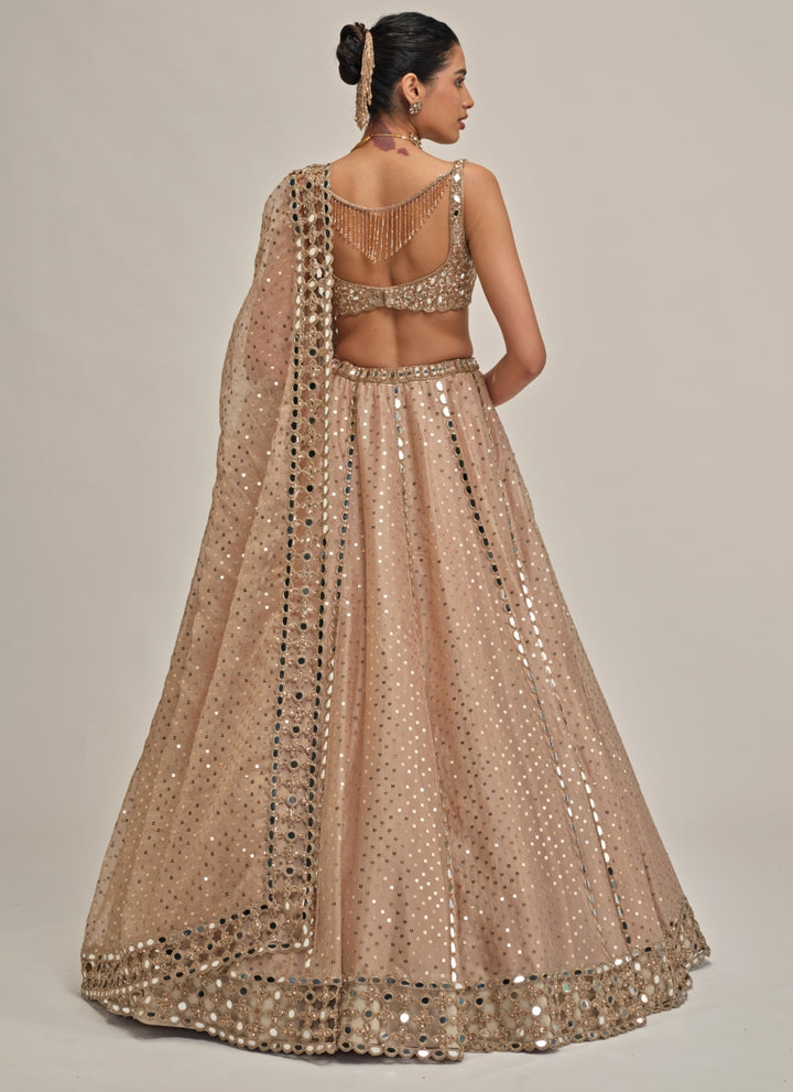 Beige Gold Sequins Embroidered Organza Lehenga