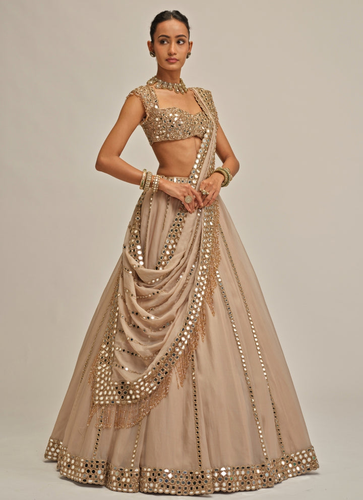 Beige Gold Mirror Linear Organza Lehenga