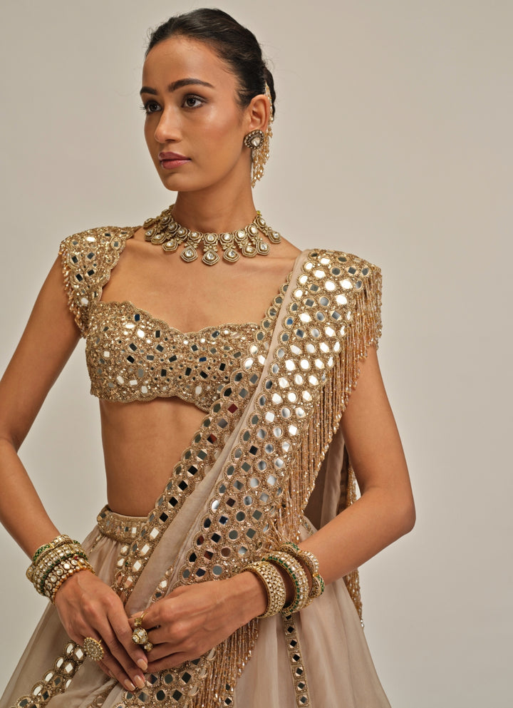 Beige Gold Mirror Linear Organza Lehenga