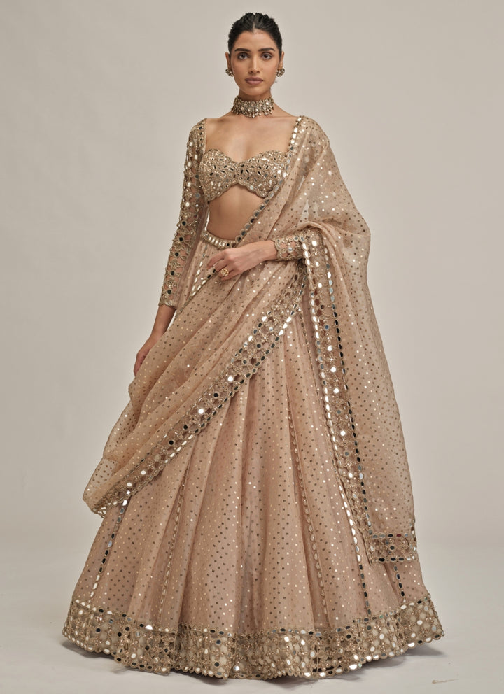 Beige Gold Sequins Embroidered Crepe Lehenga