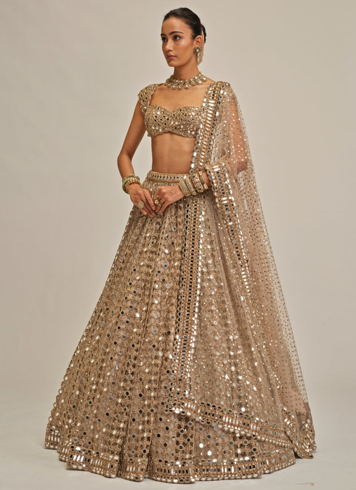 Beige Gold Mirror Embroidered Georgette Lehenga