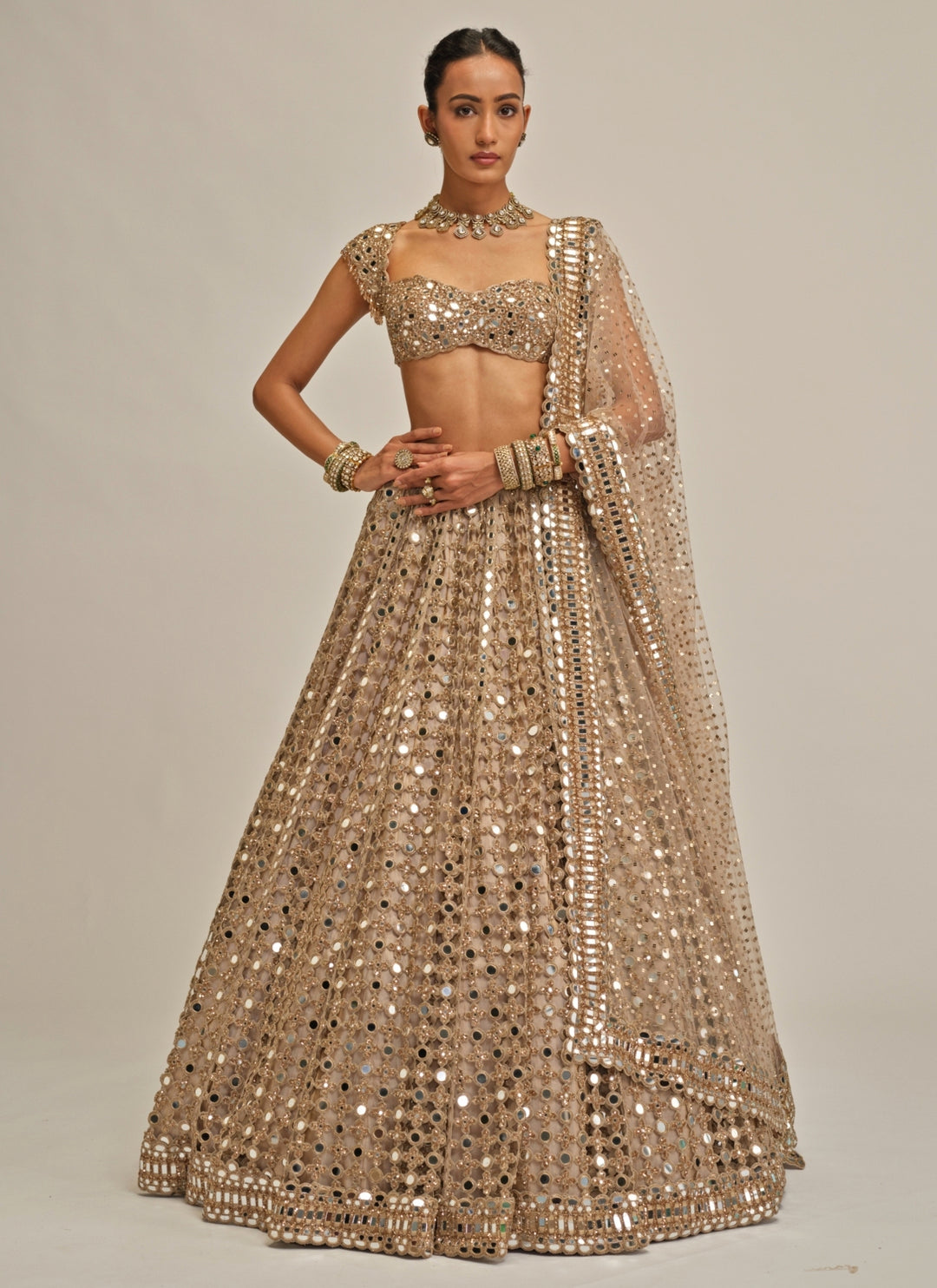 Beige Gold Mirror Embroidered Georgette Lehenga