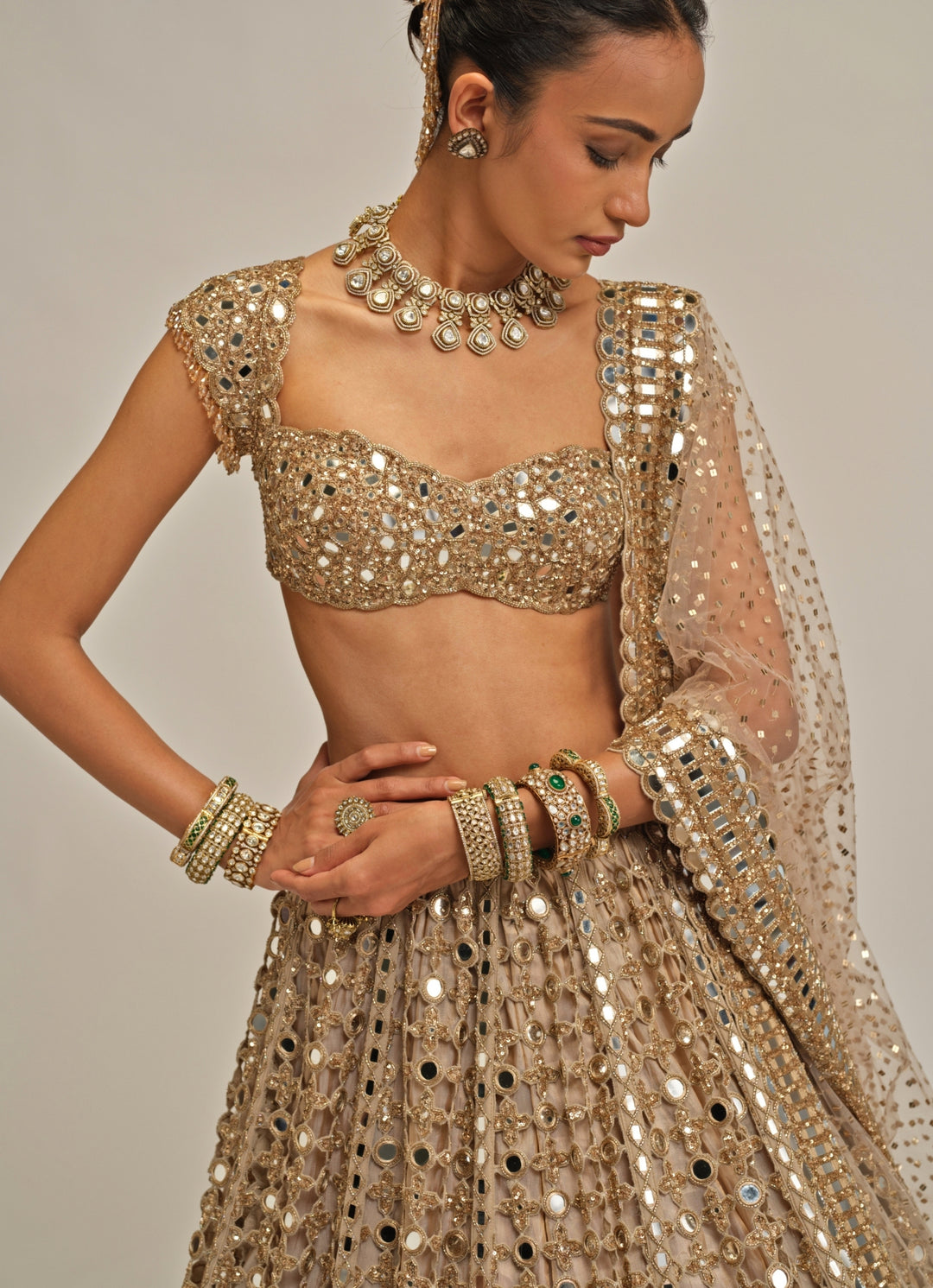 Beige Gold Mirror Embroidered Georgette Lehenga