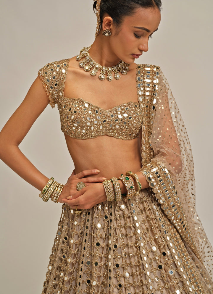 Beige Gold Mirror Embroidered Georgette Lehenga