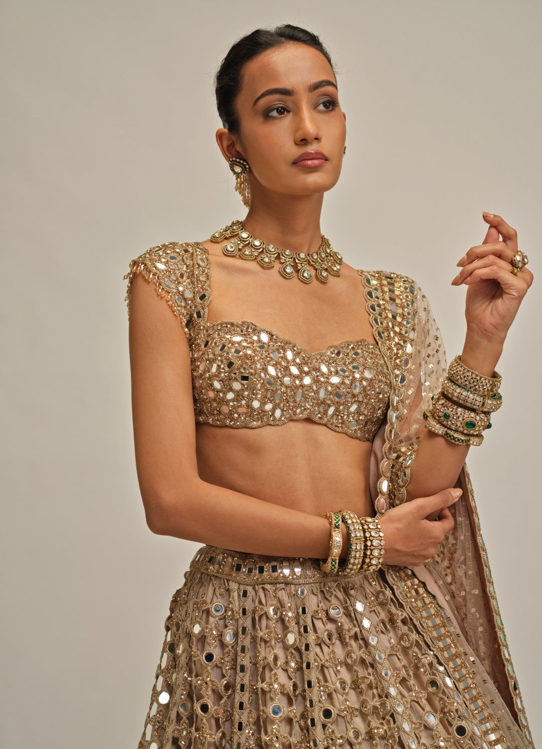 Beige Gold Mirror Embroidered Georgette Lehenga