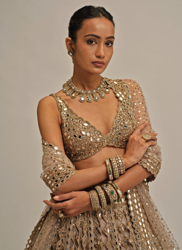 Beige Gold Diamond And Mirror Cutwork Georgette Lehenga