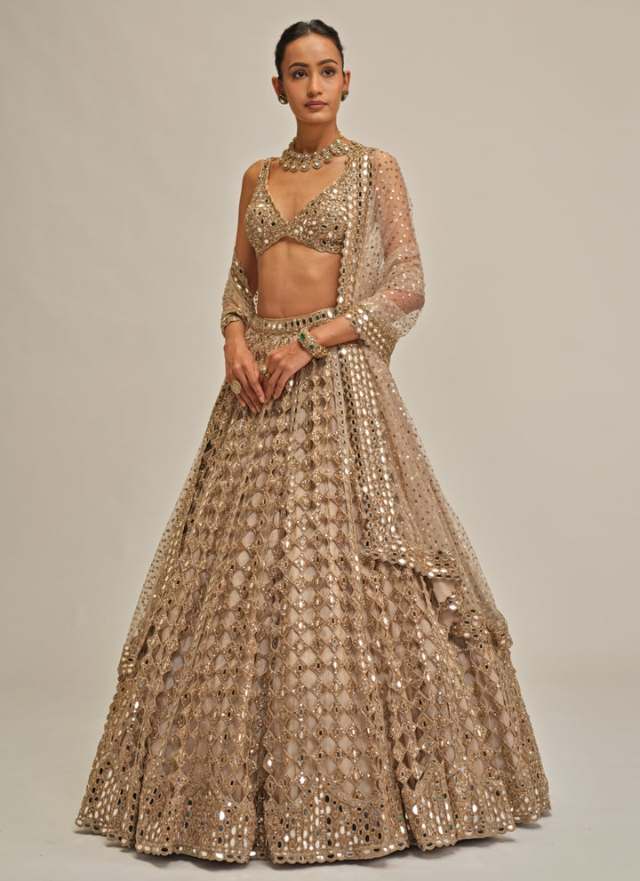 Beige Gold Diamond And Mirror Cutwork Georgette Lehenga