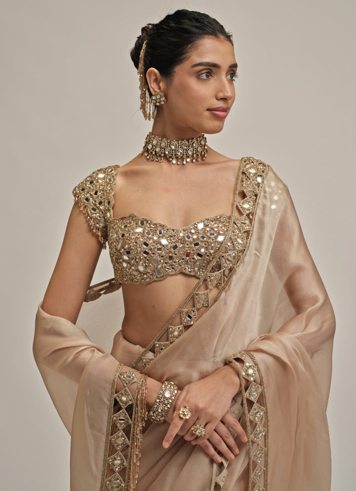 Beige Gold Diamond Cutwork Satin Organza Saree