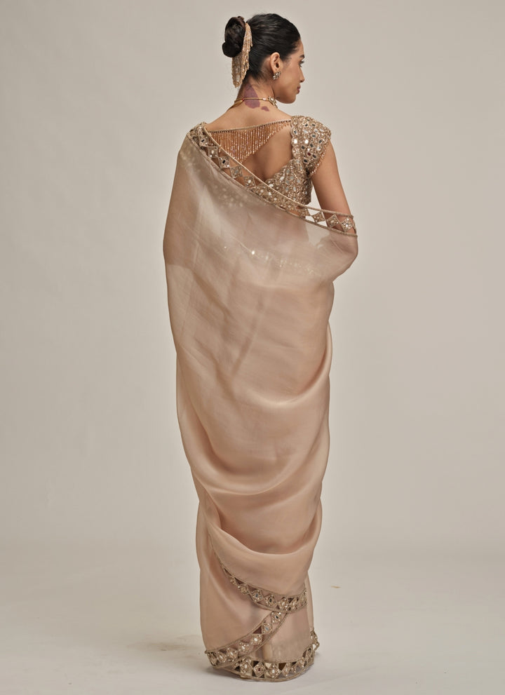 Beige Gold Diamond Cutwork Satin Organza Saree