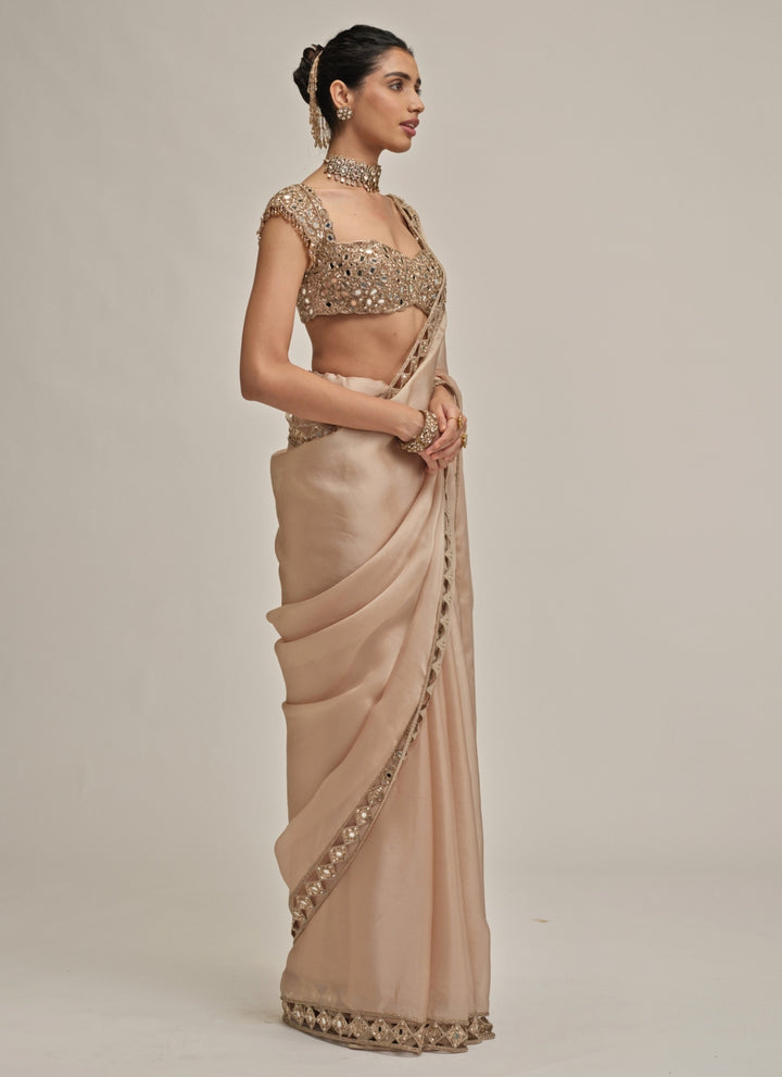Beige Gold Diamond Cutwork Satin Organza Saree