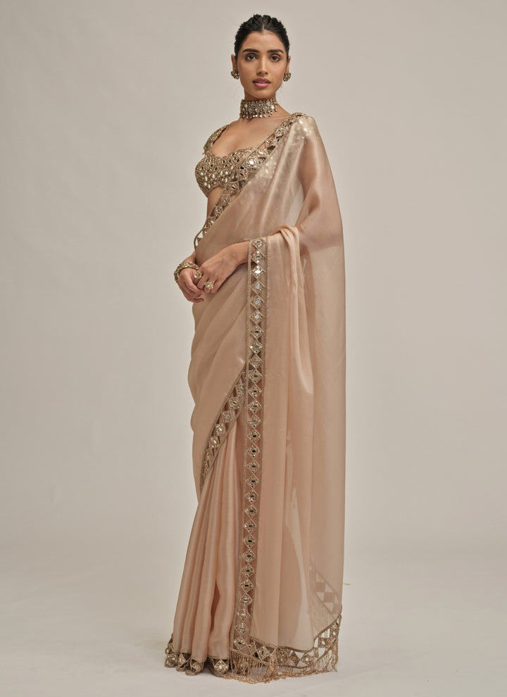 Beige Gold Diamond Cutwork Satin Organza Saree