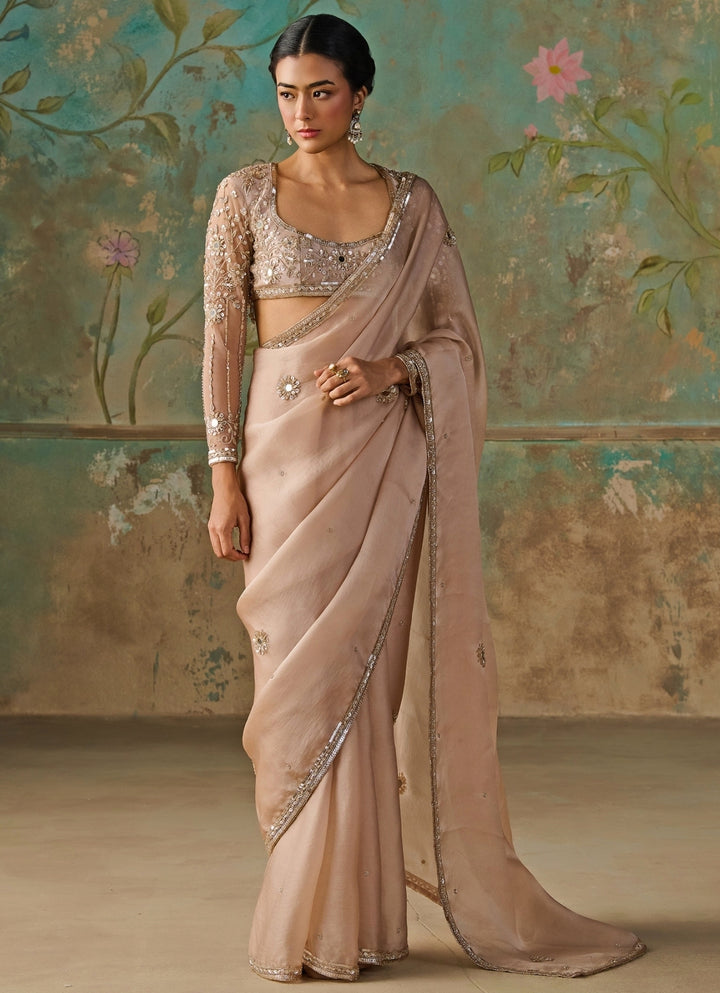 Blush Gold Satin Organza Saree
