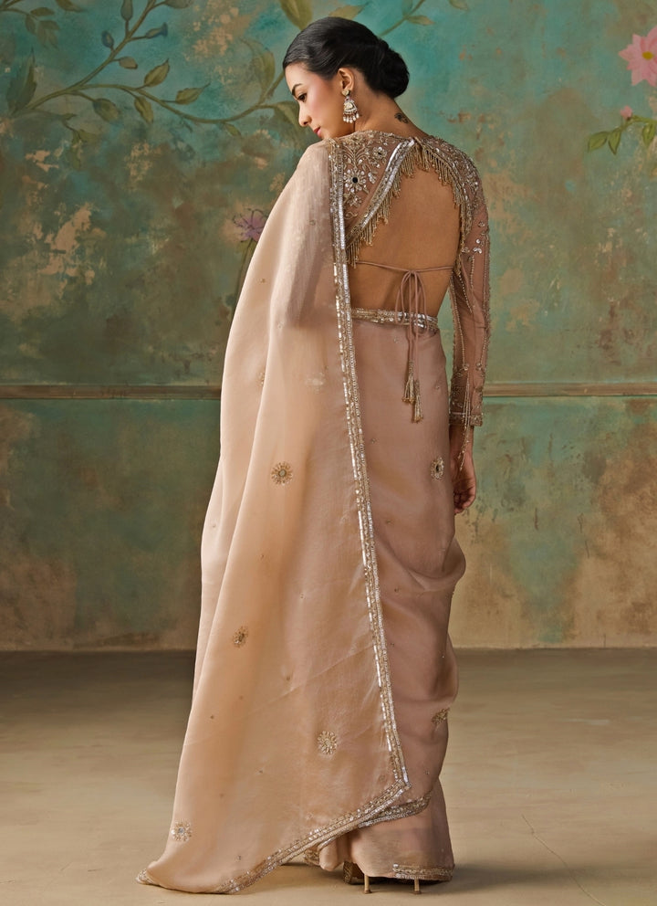 Blush Gold Satin Organza Saree
