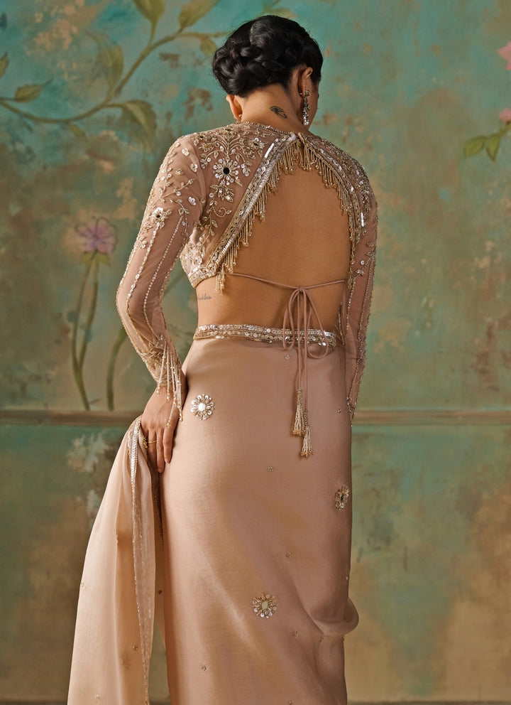 Blush Gold Satin Organza Saree