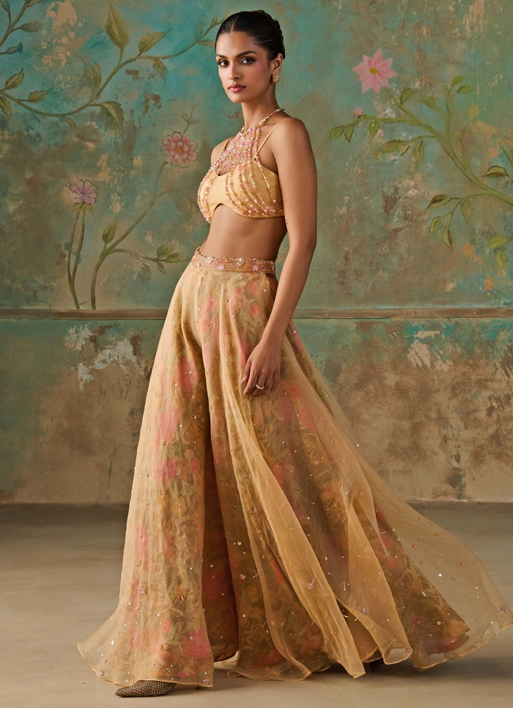 Yellow Organza Blouse Sharara Set