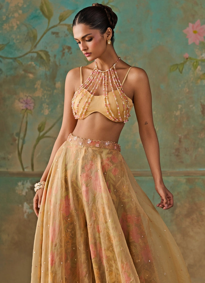 Yellow Organza Blouse Sharara Set