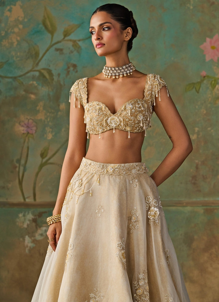 Ivory Silk Organza Lehenga Set