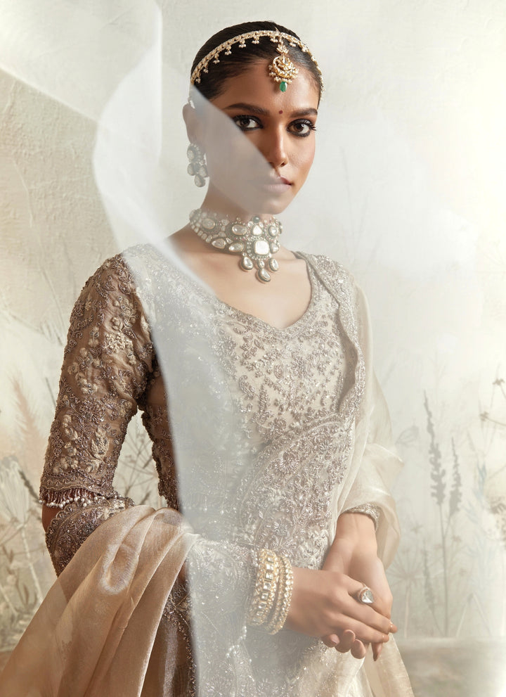 Gold Embroidered Tissue Lehenga Set