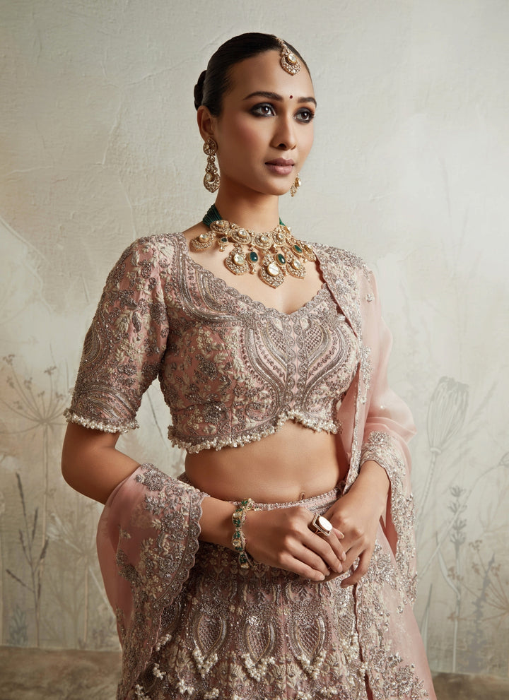 Blush Pink Organza Lehenga Set