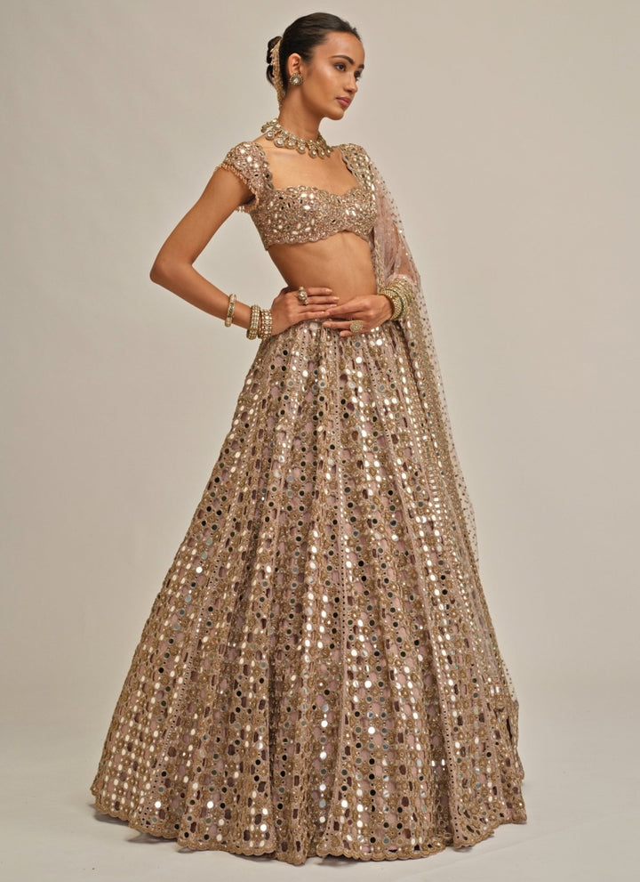 Vvani by Vani Vats Ash Pink Cutwork Georgette LehengaFabilicious Fashion