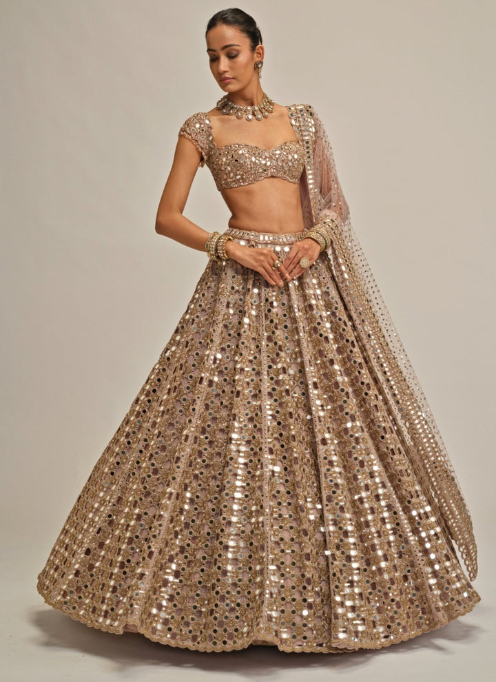 Vvani by Vani Vats Ash Pink Cutwork Georgette LehengaFabilicious Fashion