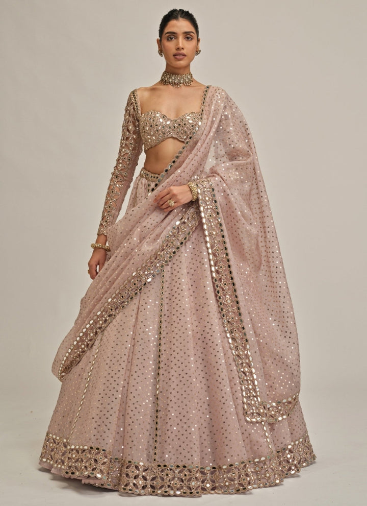 Vvani by Vani Vats Ash Pink Cutwork Organza LehengaFabilicious Fashion