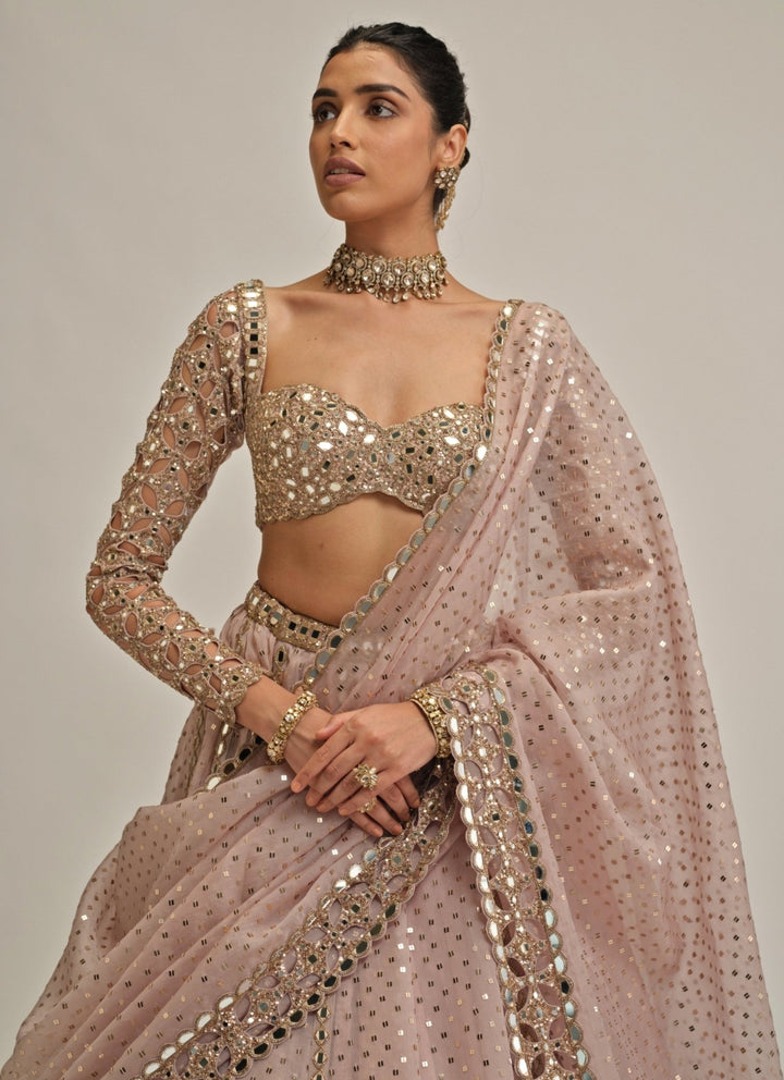 Vvani by Vani Vats Ash Pink Cutwork Organza LehengaFabilicious Fashion