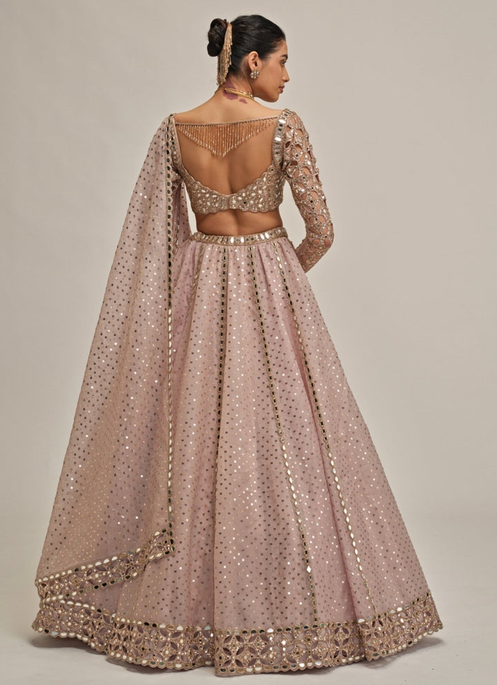 Vvani by Vani Vats Ash Pink Cutwork Organza LehengaFabilicious Fashion