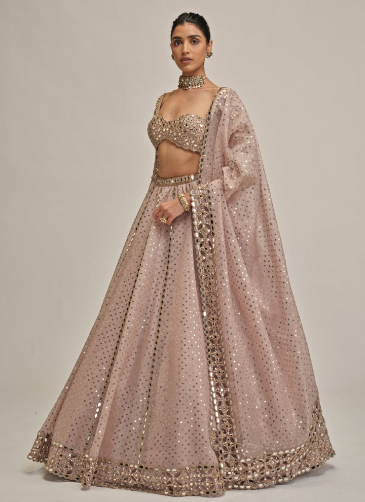 Vvani by Vani Vats Ash Pink Cutwork Organza LehengaFabilicious Fashion