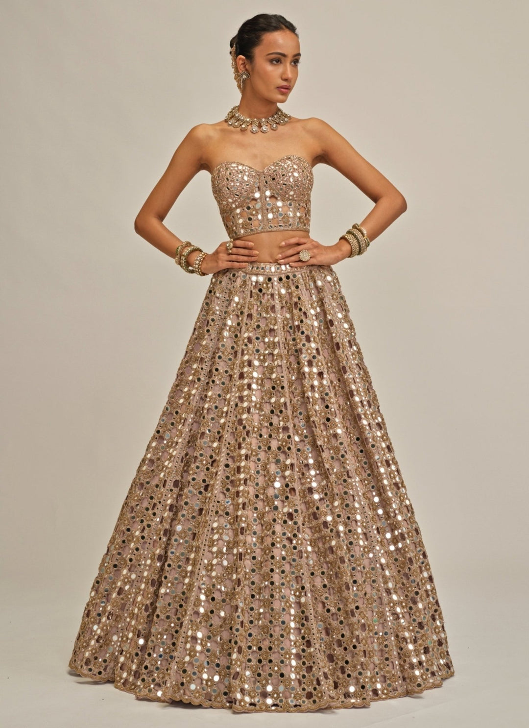 Vvani by Vani Vats Ash Pink Embroidered Georgette Corset LehengaFabilicious Fashion