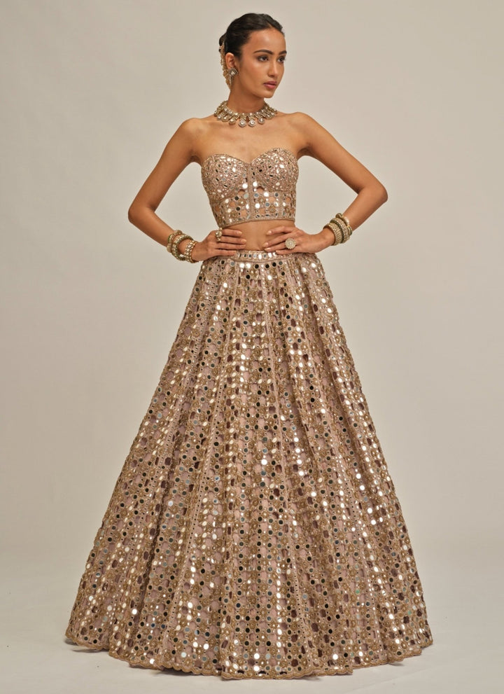 Vvani by Vani Vats Ash Pink Embroidered Georgette Corset LehengaFabilicious Fashion