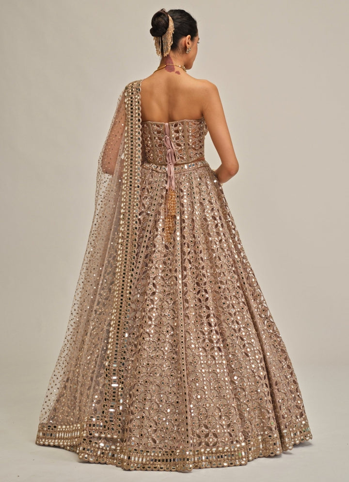 Vvani by Vani Vats Ash Pink Georgette Corset LehengaFabilicious Fashion