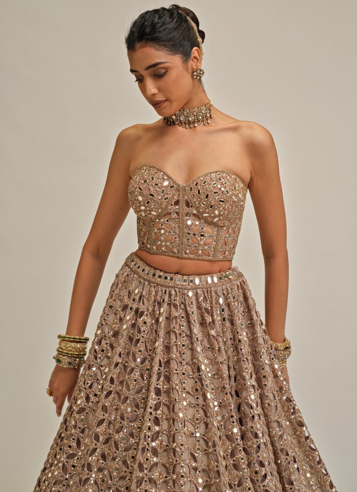 Vvani by Vani Vats Ash Pink Georgette Corset LehengaFabilicious Fashion
