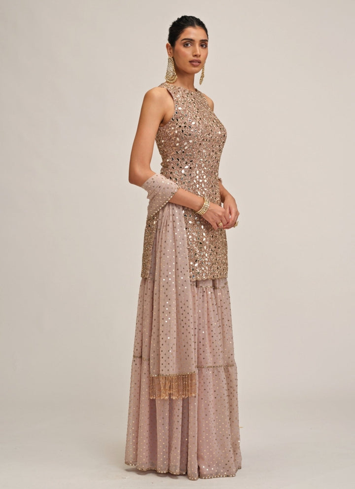 Vvani by Vani Vats Ash Pink Georgette Kurta ShararaFabilicious Fashion
