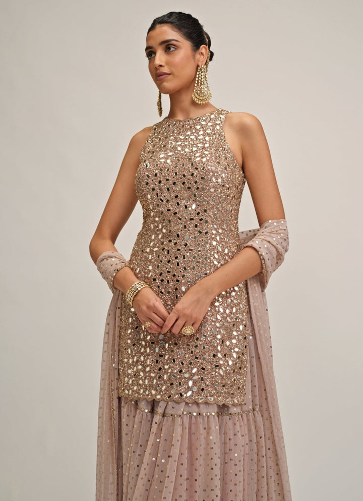 Vvani by Vani Vats Ash Pink Georgette Kurta ShararaFabilicious Fashion