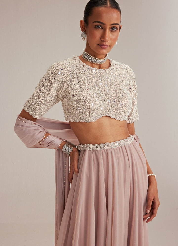 Ash Pink Georgette Skirt With High Neck Blouse And Stole Vvani by Vani Vats - Fabilicious Fashion