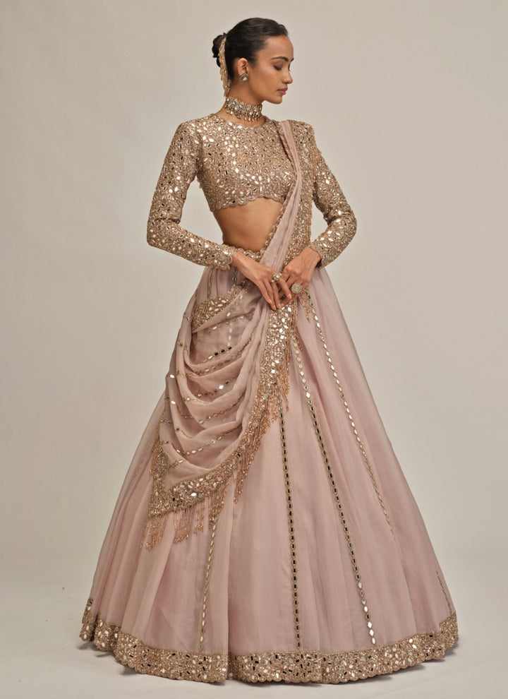 Vvani by Vani Vats Ash Pink Linear Organza LehengaFabilicious Fashion